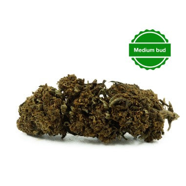 Don Papa Greenhouse - INFUSION FLEURS CBD