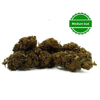 Don Papa Greenhouse - INFUSION FLEURS CBD