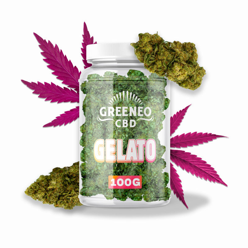 GELATO GREENHOUSE - INFUSION FLEURS CBD Greeneo
