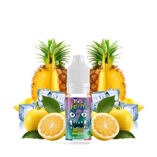 E-liquide Multi Freeze Saligot - 10ml - Liquideo