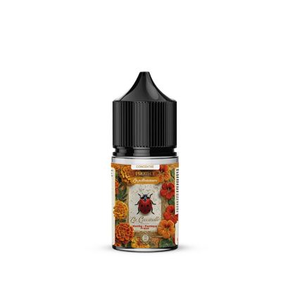 Concentré DIY La Coccinelle - 30ml - Les Pollinisateurs - Protect