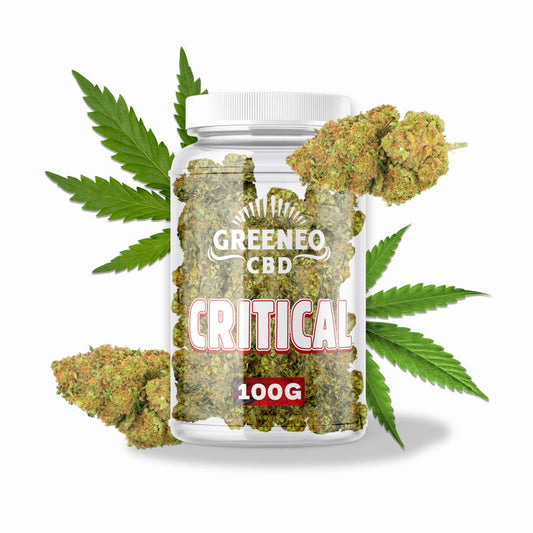 CRITICAL FLEUR - VRAC - FLEURS CBD Greeneo