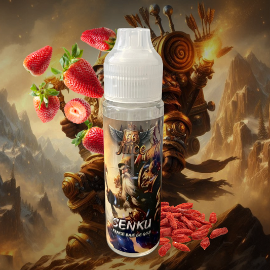 E-liquide SENKU - 50ml - HIRO 66