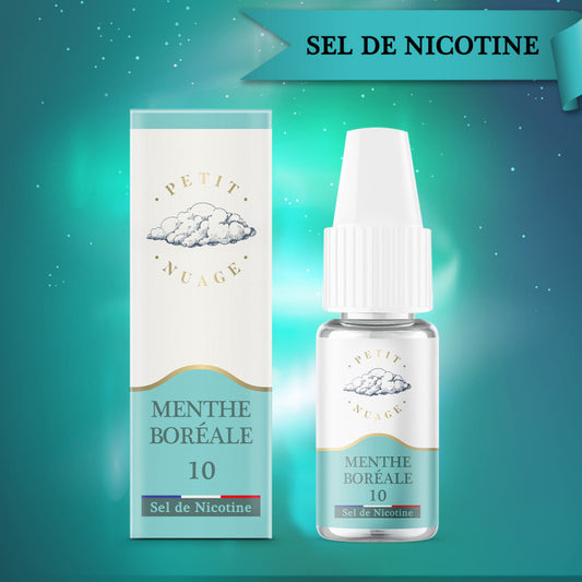 E-liquide Menthe Boréale - 10ml - Salt Petit Nuage